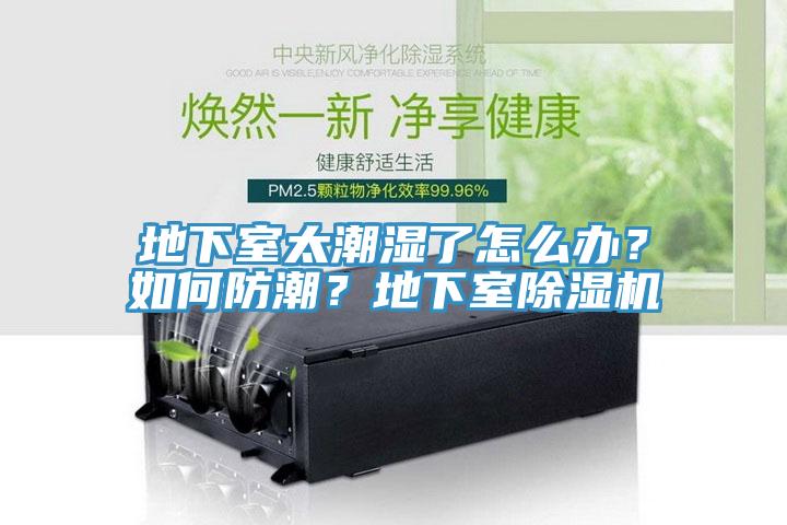 地下室太潮濕了怎麽辦？如何防潮？地下室小黄片软件免费下载
