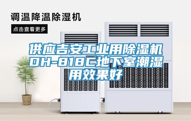 供應吉安工業用小黄片软件免费下载DH-818C地下室潮濕用效果好