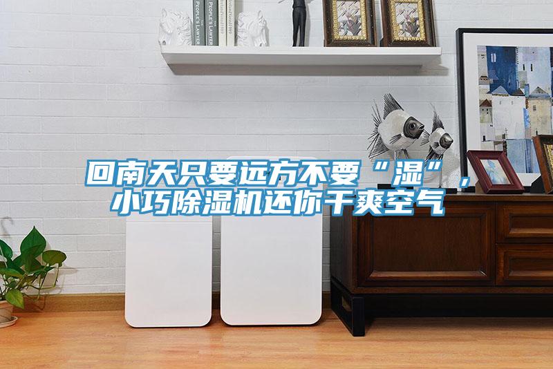 回南天隻要遠方不要“濕”，小巧小黄片软件免费下载還你幹爽空氣