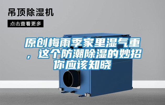 原創梅雨季家裏濕氣重，這個防潮除濕的妙招你應該知曉