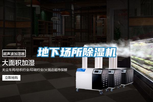 地下場所小黄片软件免费下载