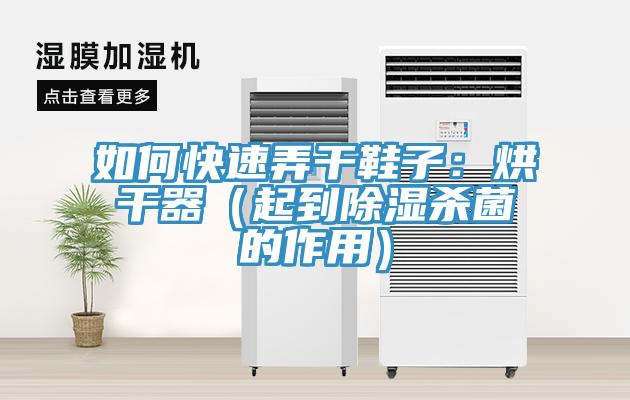 如何快速弄幹鞋子：烘幹器（起到除濕殺菌的作用）