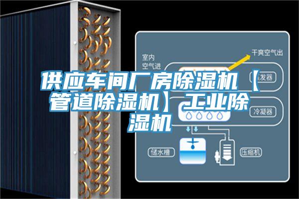 供應車間廠房小黄片软件免费下载【管道小黄片软件免费下载】工業小黄片软件免费下载