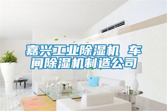 嘉興工業小黄片软件免费下载 車間小黄片软件免费下载製造公司