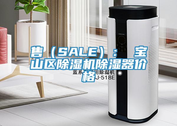 售（SALE）： 寶山區小黄片软件免费下载除濕器價格
