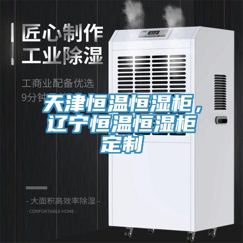天津恒溫恒濕櫃，遼寧恒溫恒濕櫃定製