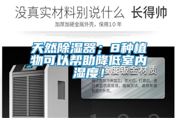 天然除濕器；8種植物可以幫助降低室內濕度！