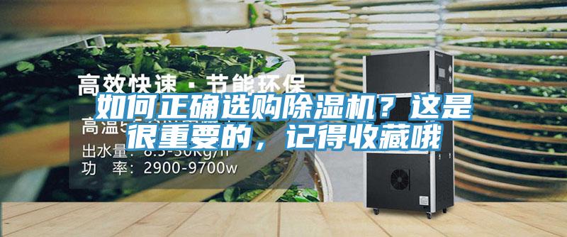 如何正確選購小黄片软件免费下载？這是很重要的，記得收藏哦