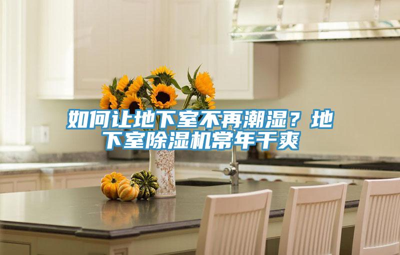 如何讓地下室不再潮濕？地下室小黄片软件免费下载常年幹爽