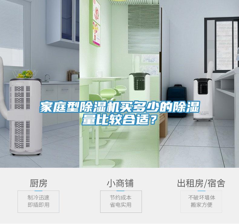 家庭型小黄片软件免费下载買多少的除濕量比較合適？