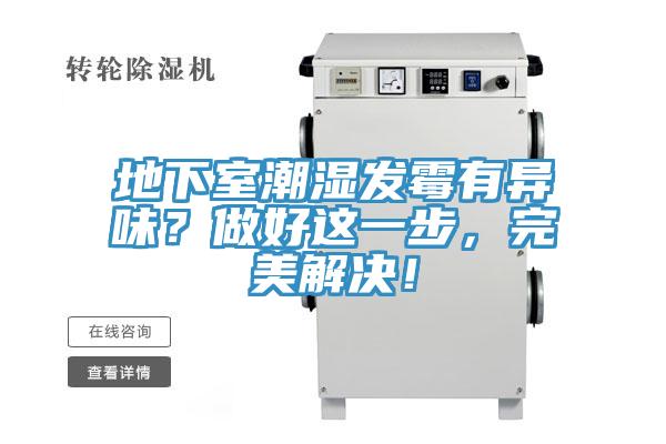 地下室潮濕發黴有異味？做好這一步，完美解決！