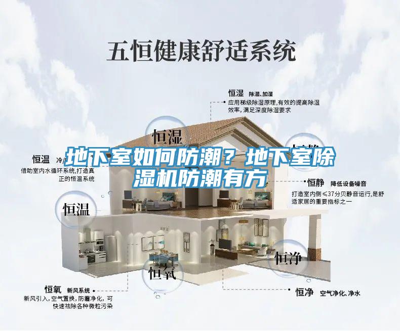 地下室如何防潮？地下室小黄片软件免费下载防潮有方
