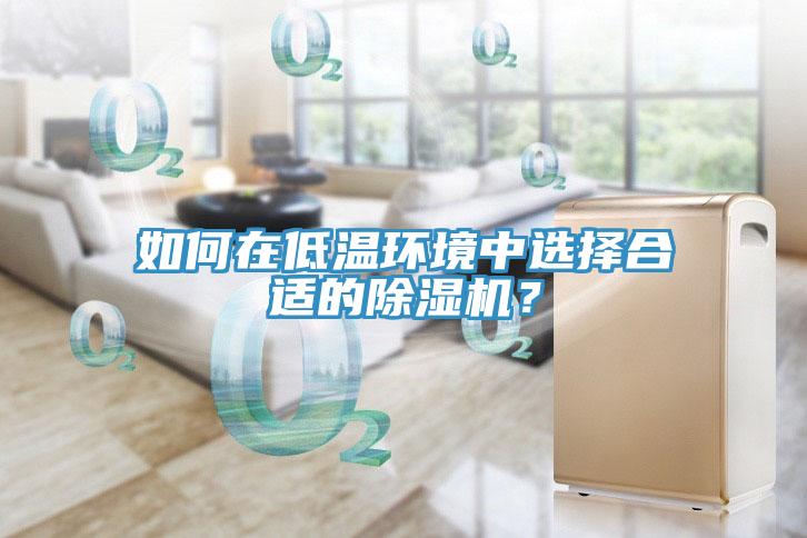 如何在低溫環境中選擇合適的小黄片软件免费下载？