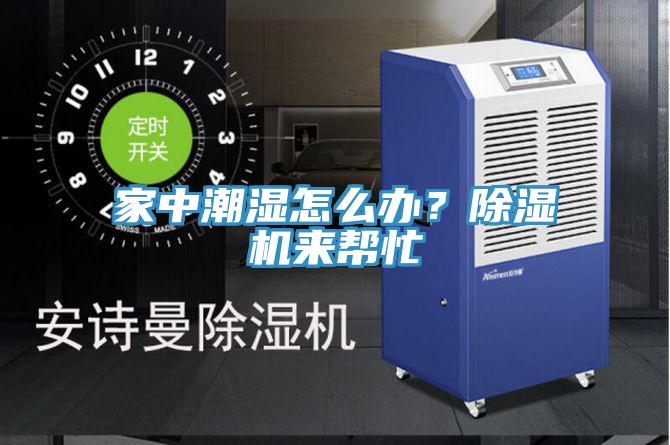 家中潮濕怎麽辦？小黄片软件免费下载來幫忙
