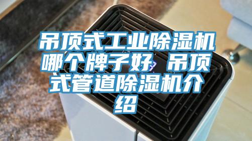 吊頂式工業小黄片软件免费下载哪個牌子好 吊頂式管道小黄片软件免费下载介紹