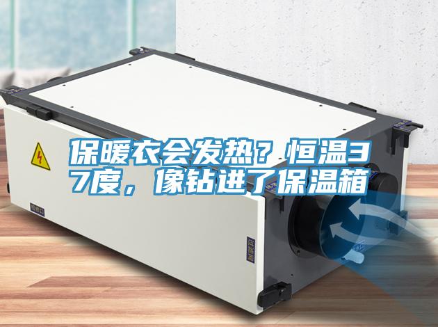 保暖衣會發熱？恒溫37度，像鑽進了保溫箱