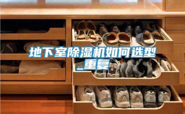 地下室小黄片软件免费下载如何選型_重複