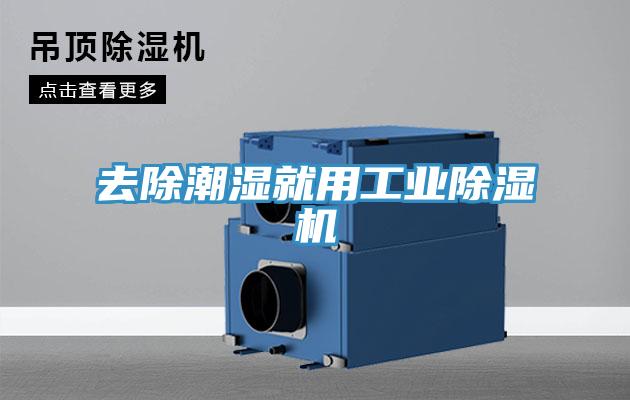 去除潮濕就用工業小黄片软件免费下载