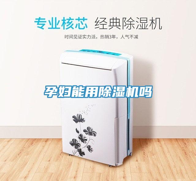 孕婦能用小黄片软件免费下载嗎