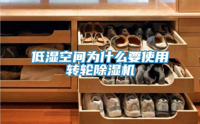 低濕空間為什麽要使用轉輪小黄片软件免费下载