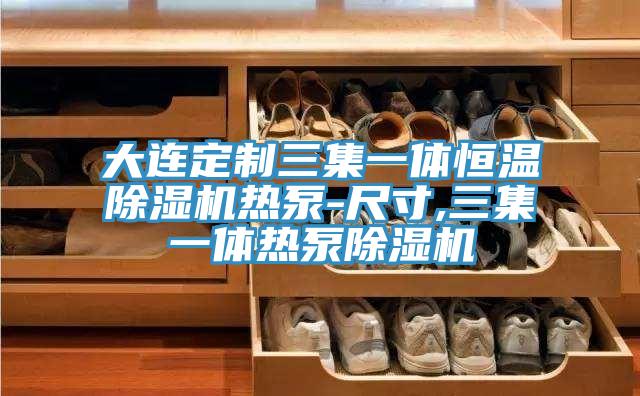 大連定製三集一體恒溫小黄片软件免费下载熱泵-尺寸,三集一體熱泵小黄片软件免费下载