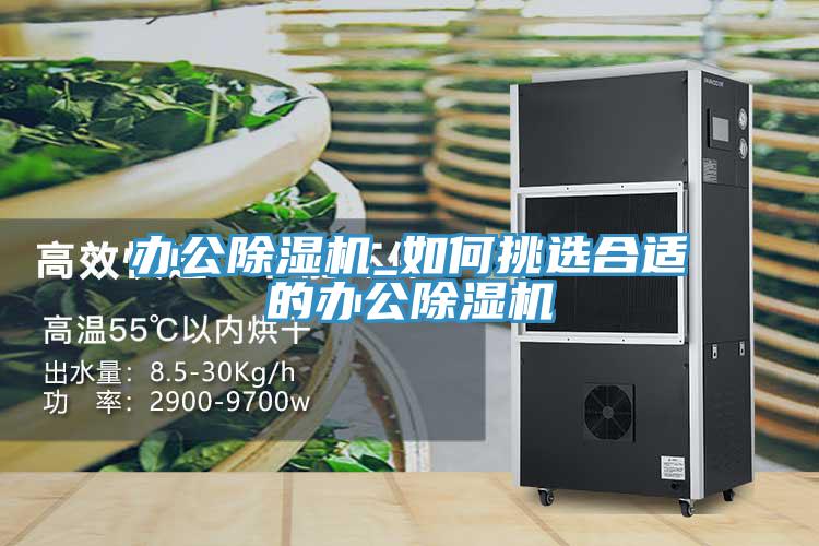 辦公小黄片软件免费下载_如何挑選合適的辦公小黄片软件免费下载