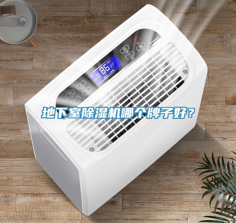 地下室小黄片软件免费下载哪個牌子好？