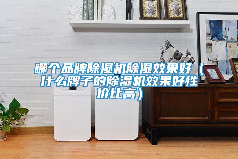 哪個品牌小黄片软件免费下载除濕效果好（什麽牌子的小黄片软件免费下载效果好性價比高）