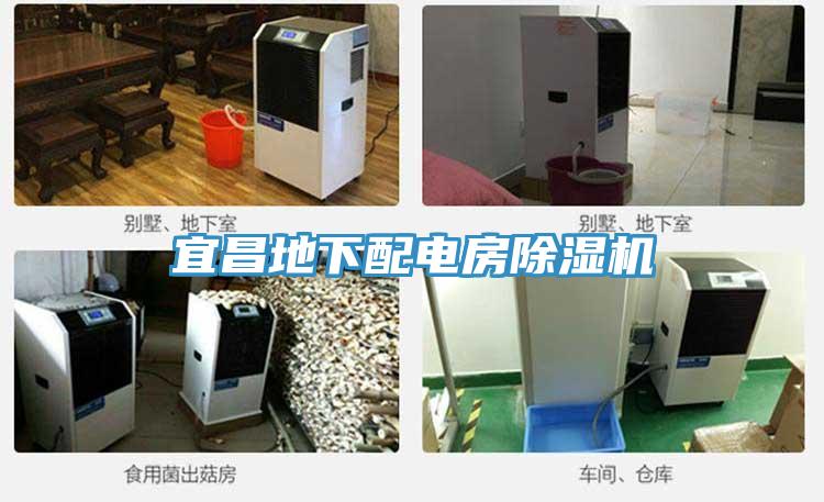 宜昌地下配電房小黄片软件免费下载