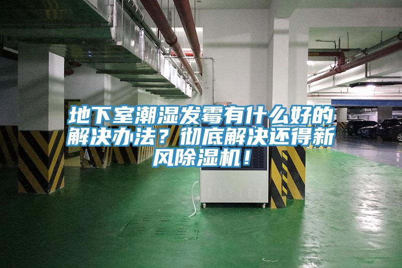 地下室潮濕發黴有什麽好的解決辦法？徹底解決還得新風小黄片软件免费下载！