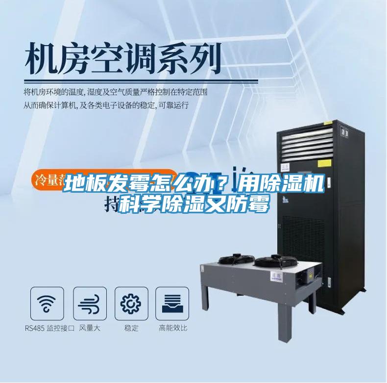 地板發黴怎麽辦？用小黄片软件免费下载科學除濕又防黴