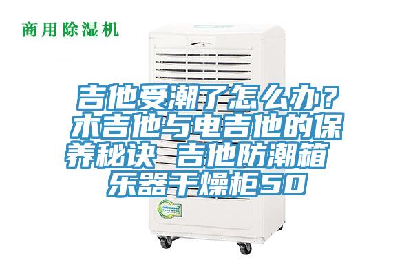 吉他受潮了怎麽辦？木吉他與電吉他的保養秘訣 吉他防潮箱 樂器幹燥櫃50
