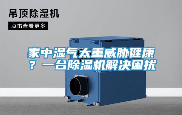 家中濕氣太重威脅健康？一台小黄片软件免费下载解決困擾