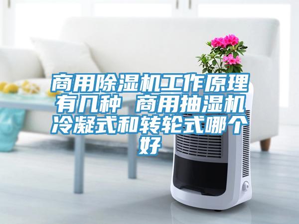商用小黄片软件免费下载工作原理有幾種 商用抽濕機冷凝式和轉輪式哪個好