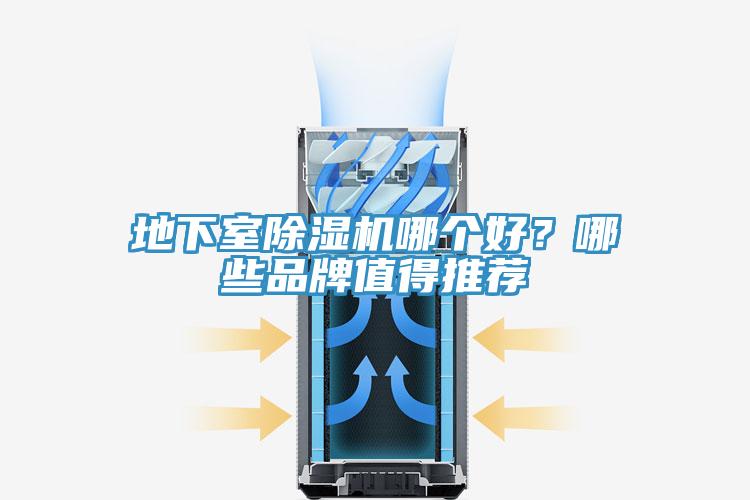 地下室小黄片软件免费下载哪個好？哪些品牌值得推薦