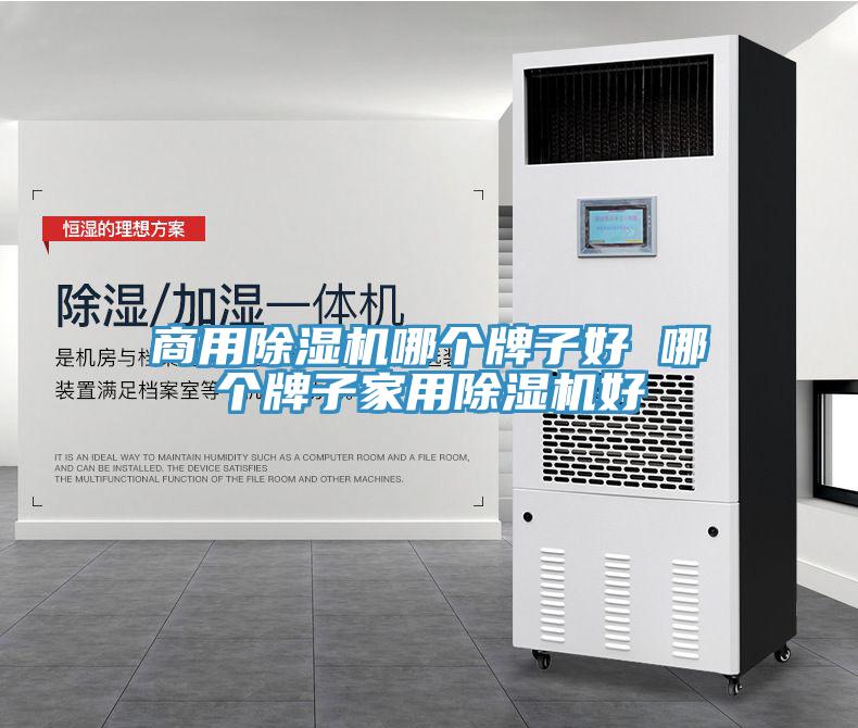商用小黄片软件免费下载哪個牌子好 哪個牌子家用小黄片软件免费下载好