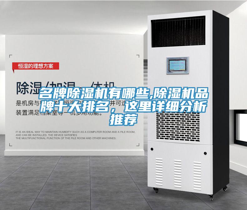 名牌小黄片软件免费下载有哪些,小黄片软件免费下载品牌十大排名，這裏詳細分析推薦