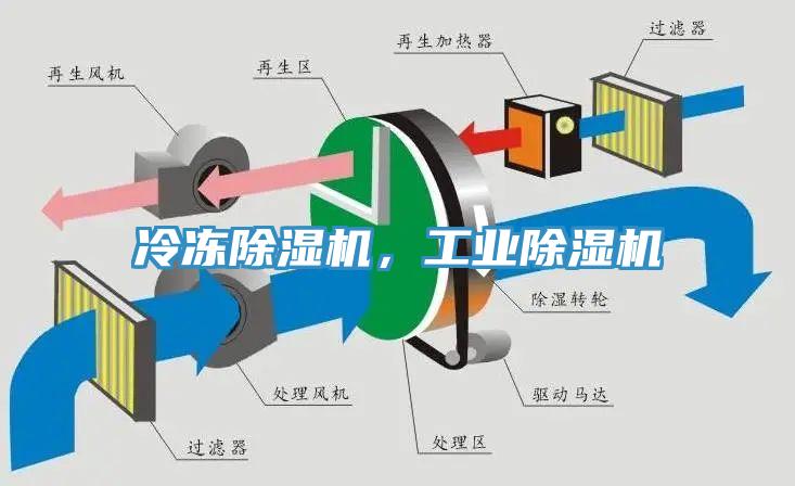 冷凍小黄片软件免费下载，工業小黄片软件免费下载