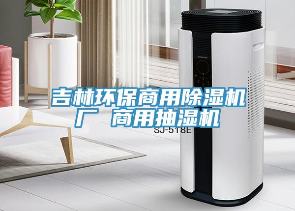 吉林環保商用小黄片软件免费下载廠 商用抽濕機