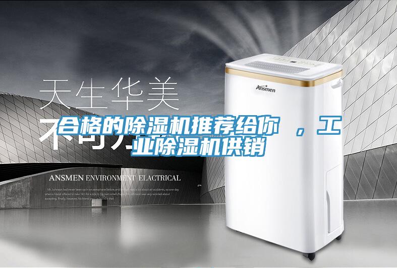 合格的小黄片软件免费下载推薦給你 ，工業小黄片软件免费下载供銷