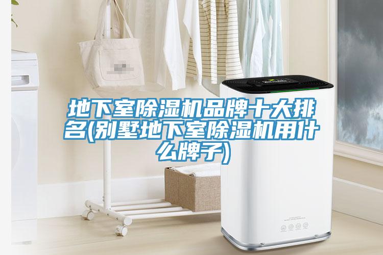 地下室小黄片软件免费下载品牌十大排名(別墅地下室小黄片软件免费下载用什麽牌子)