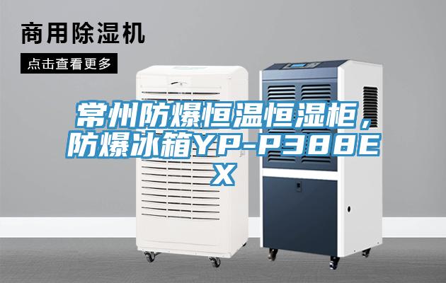 常州防爆恒溫恒濕櫃，防爆冰箱YP-P388EX