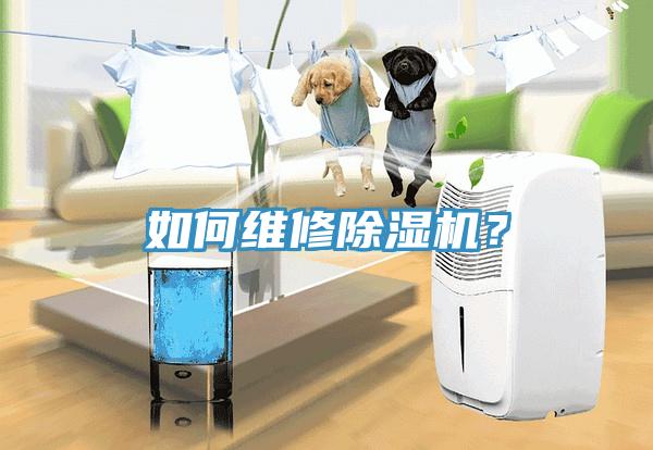 如何維修小黄片软件免费下载？