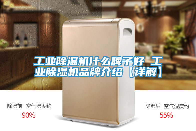 工業小黄片软件免费下载什麽牌子好 工業小黄片软件免费下载品牌介紹【詳解】
