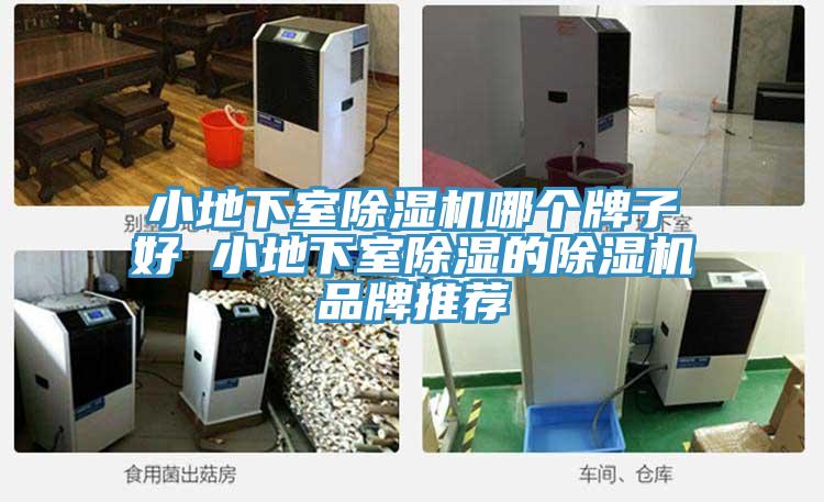 小地下室小黄片软件免费下载哪個牌子好 小地下室除濕的小黄片软件免费下载品牌推薦
