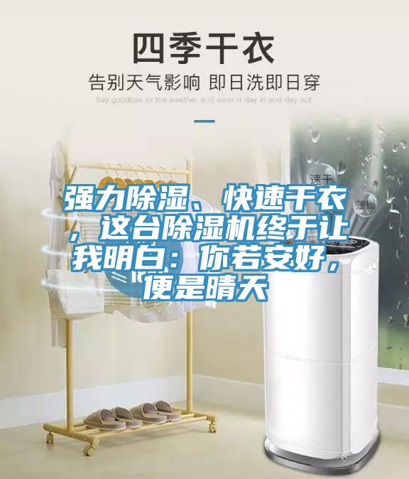 強力除濕、快速幹衣，這台小黄片软件免费下载終於讓我明白：你若安好，便是晴天
