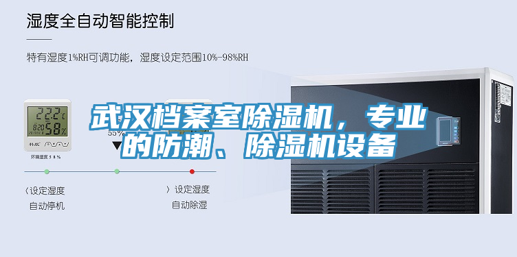 武漢檔案室小黄片软件免费下载，專業的防潮、小黄片软件免费下载設備