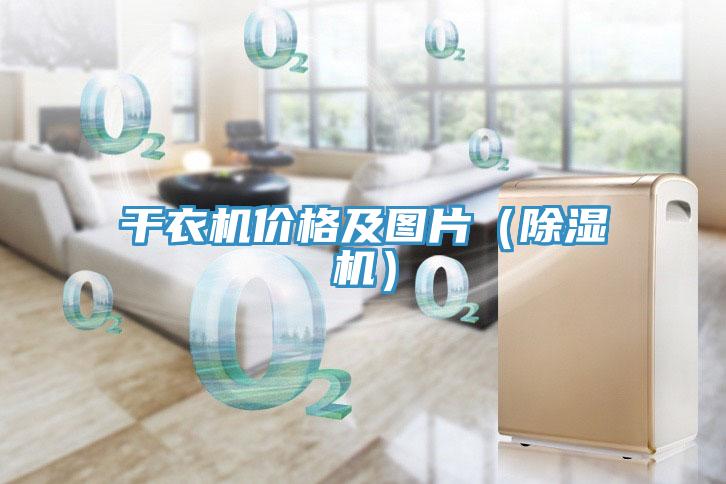 幹衣機價格及圖片（小黄片软件免费下载）