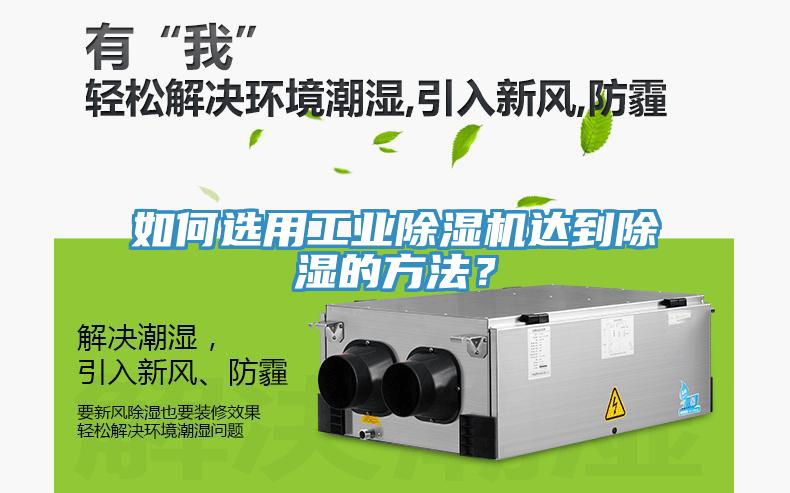 如何選用工業小黄片软件免费下载達到除濕的方法？