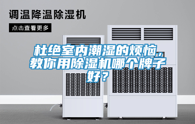 杜絕室內潮濕的煩惱，教你用小黄片软件免费下载哪個牌子好？